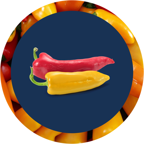 sweet pointed peppers products jnv